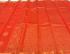 PL BIG BUTTA SAREE